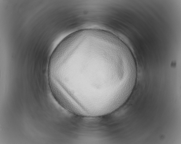 X0000111780863200908131347