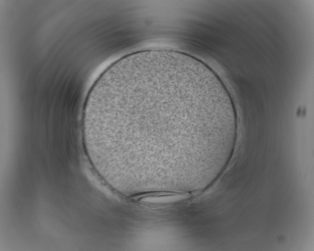 X0000111780864200908131347