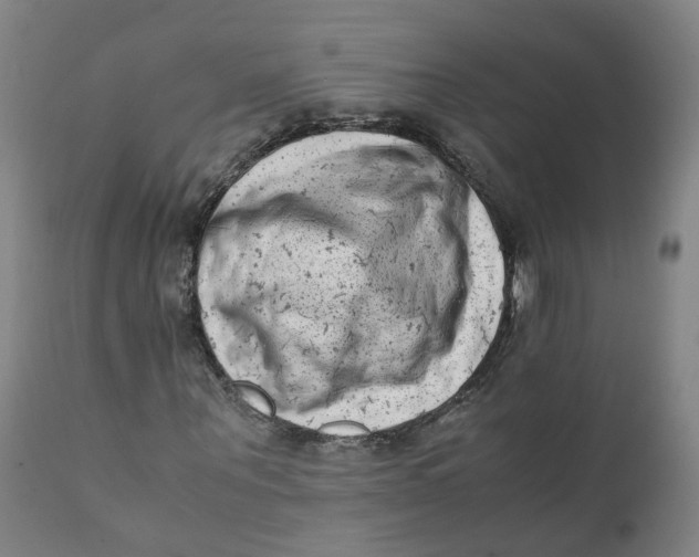 X0000111780867200908131346