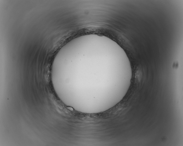 X0000111780868200908131346