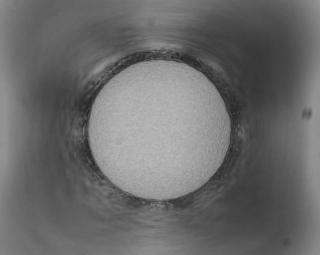 X0000111780869200908131346