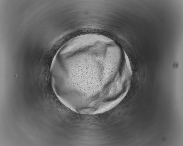 X0000111780870200908131346