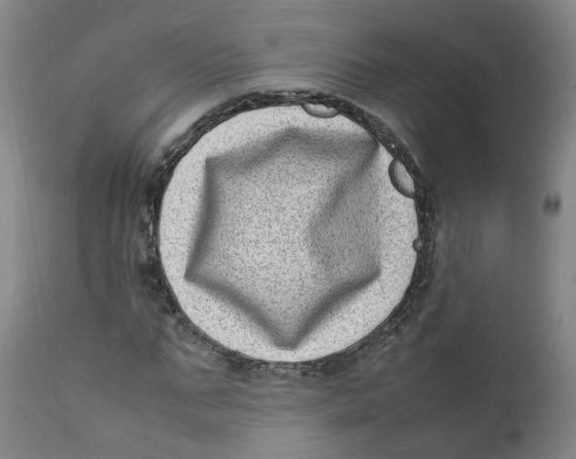 X0000111780871200908131346