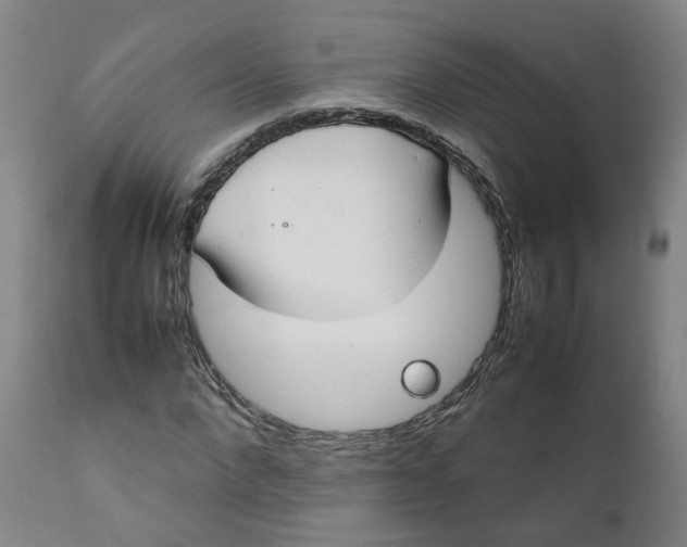 X0000111780872200908131346