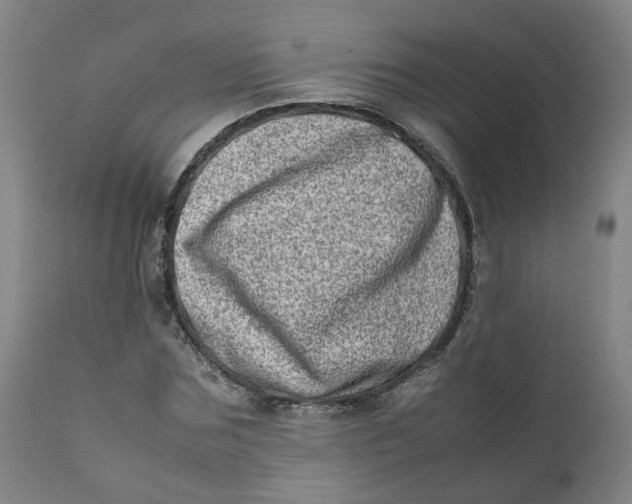 X0000111780875200908131346