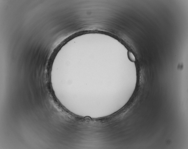X0000111780876200908131346