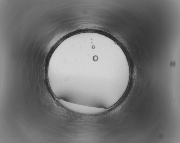 X0000111780877200908131346