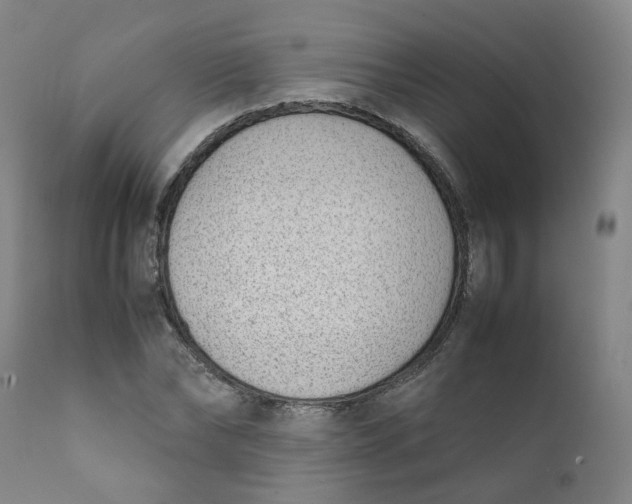 X0000111780878200908131346