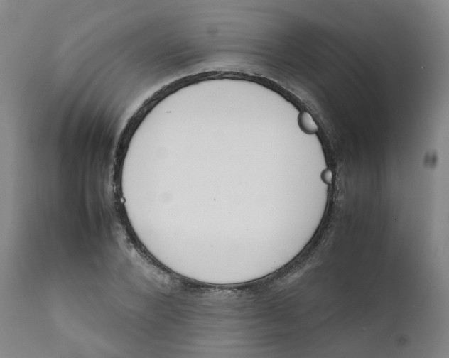 X0000111780880200908131346