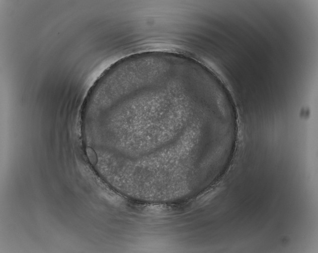 X0000111780883200908131346