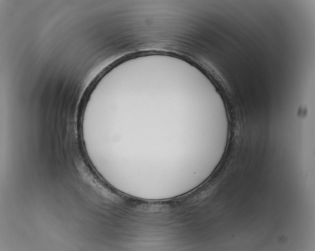 X0000111780884200908131345