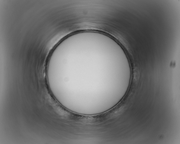 X0000111780885200908131345