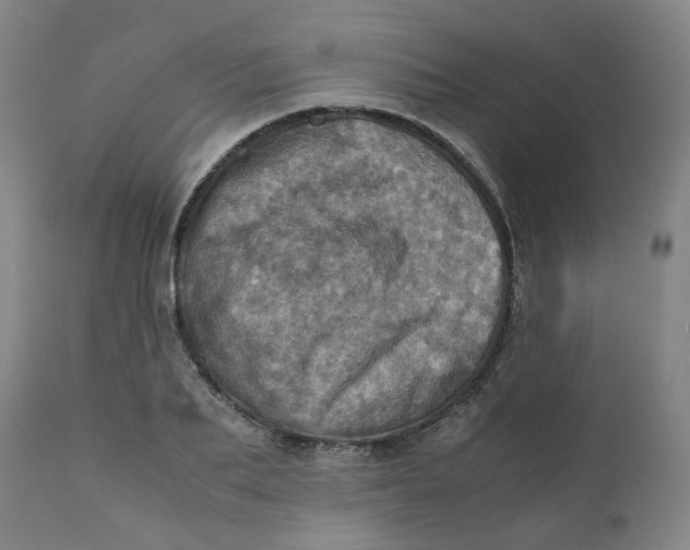 X0000111780887200908131345