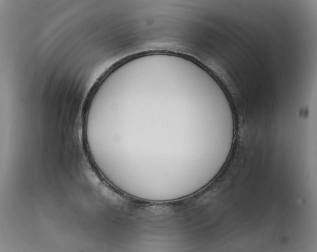 X0000111780888200908131345