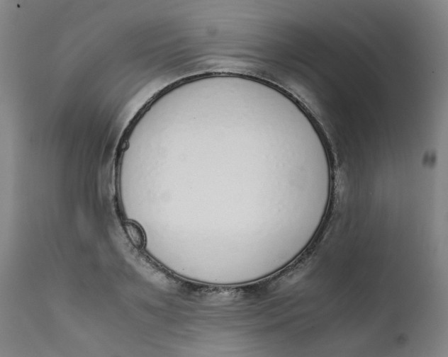 X0000111780891200908131345