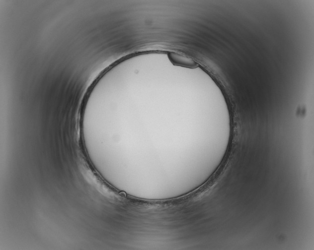 X0000111780892200908131345