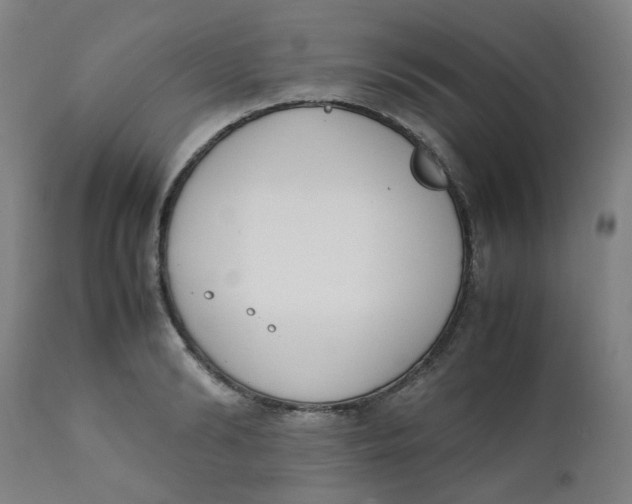 X0000111780894200908131345
