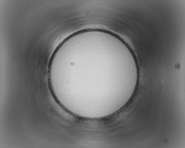 X0000111780895200908131345