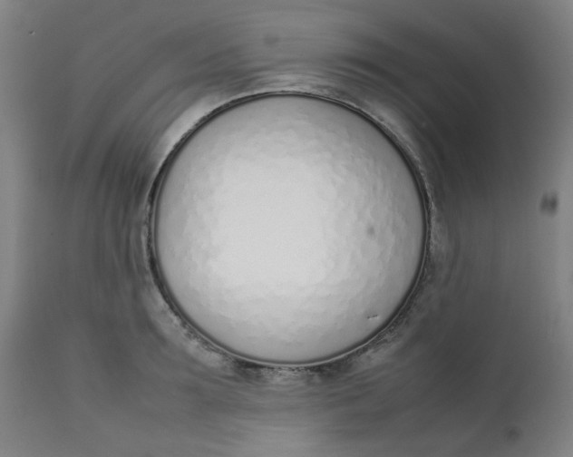 X0000111780899200908131345