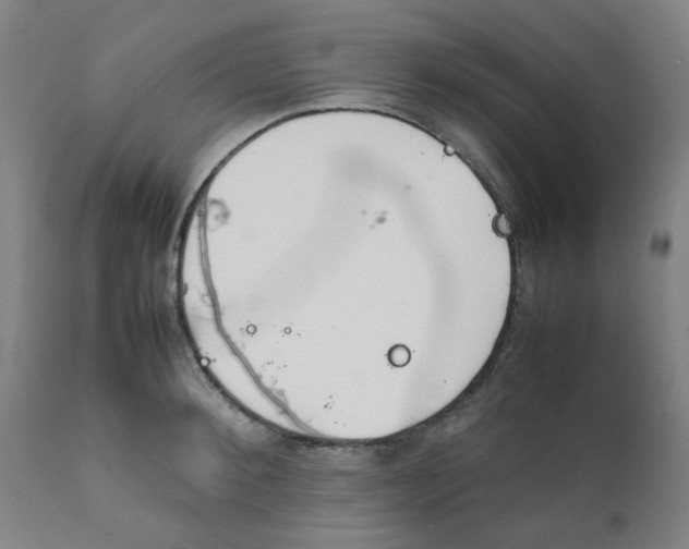X0000111780900200908131345