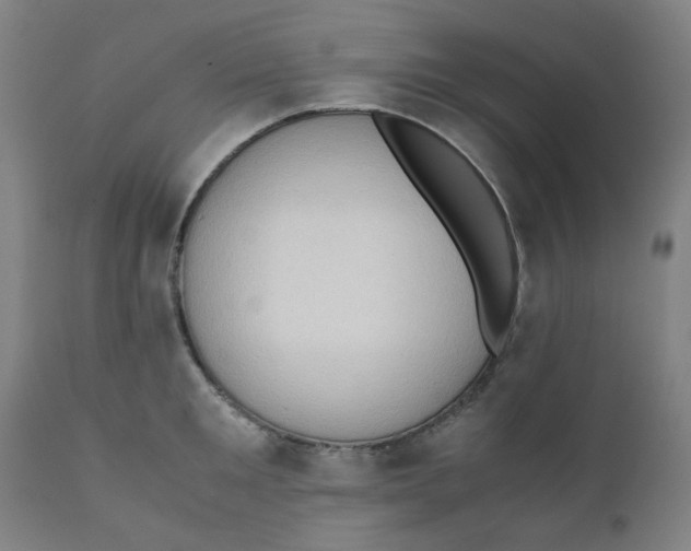 X0000111780901200908131345