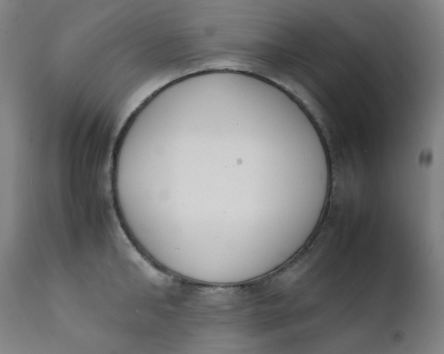 X0000111780902200908131345