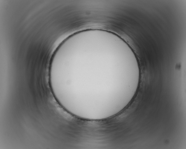 X0000111780904200908131345