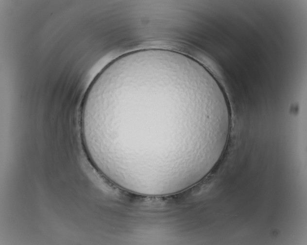 X0000111780907200908131345
