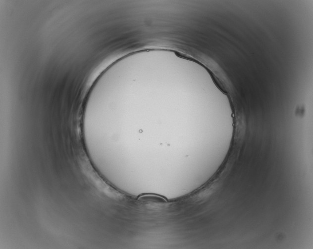X0000111780908200908131345