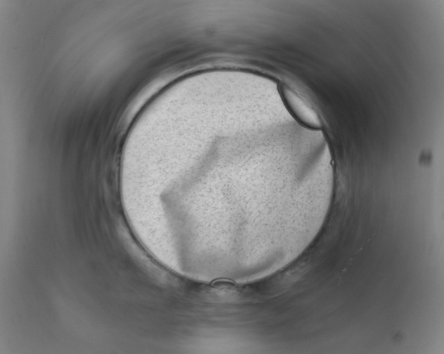 X0000111780911200908131345
