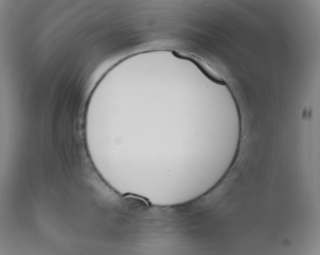 X0000111780912200908131345