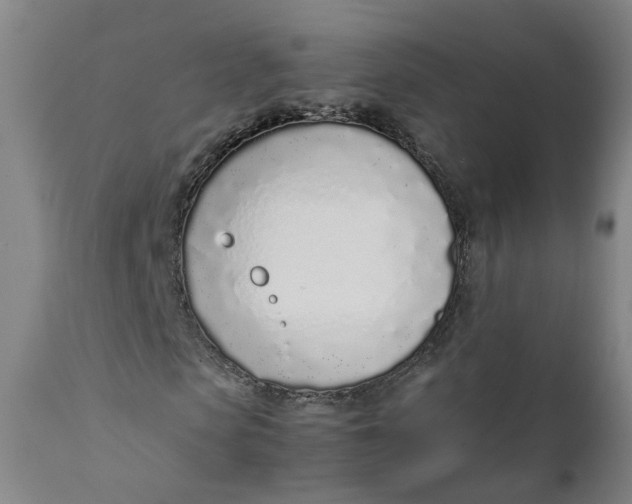 X0000111780913200908131344