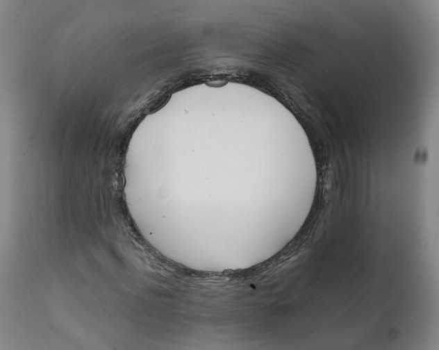X0000111780916200908131344