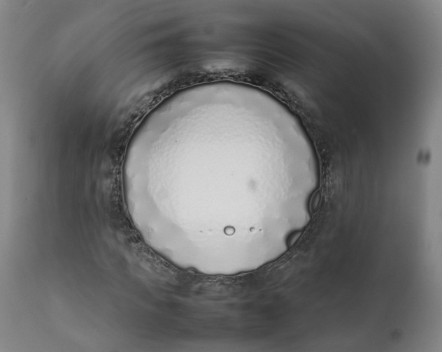 X0000111780917200908131344