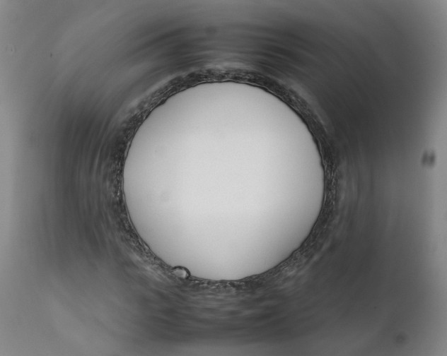 X0000111780919200908131344