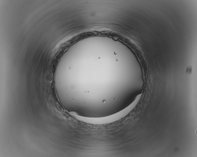 X0000111780920200908131344