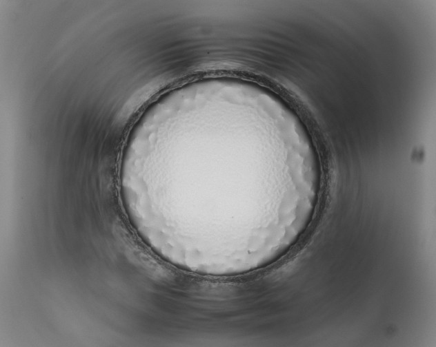 X0000111780921200908131344