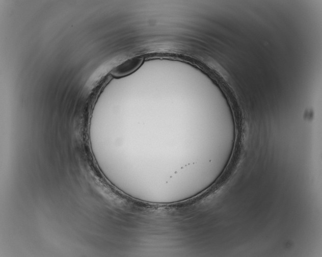 X0000111780922200908131344