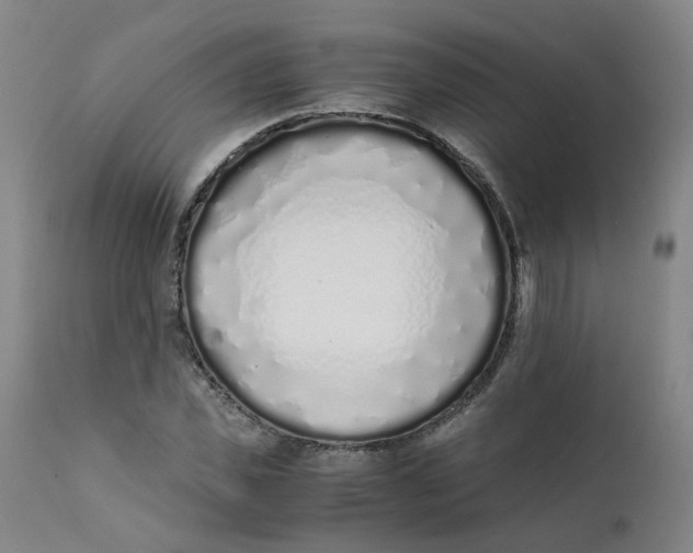 X0000111780925200908131344