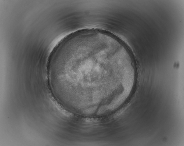 X0000111780927200908131344