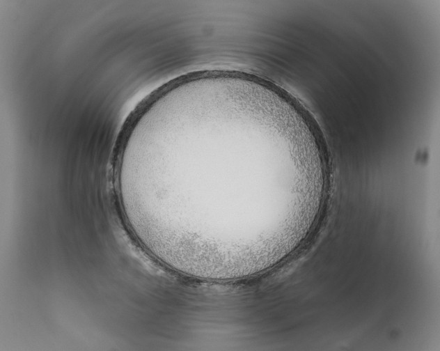 X0000111780928200908131344