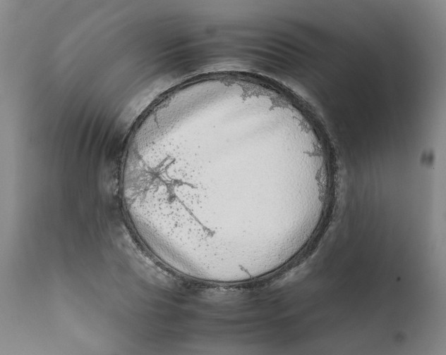X0000111780929200908131344