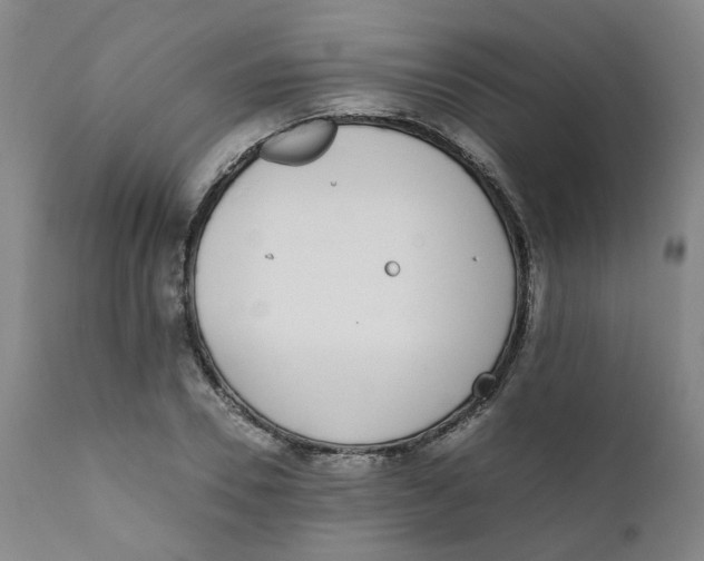 X0000111780930200908131345