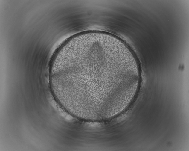 X0000111780931200908131345