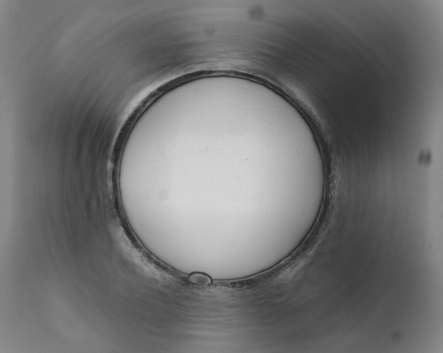 X0000111780932200908131345