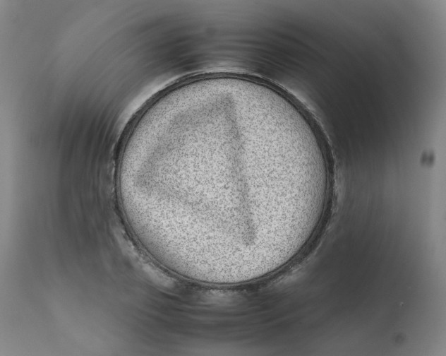 X0000111780933200908131345