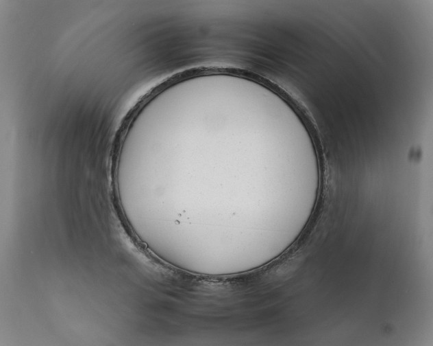 X0000111780935200908131345