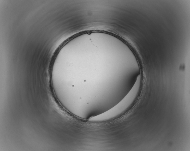 X0000111780936200908131345