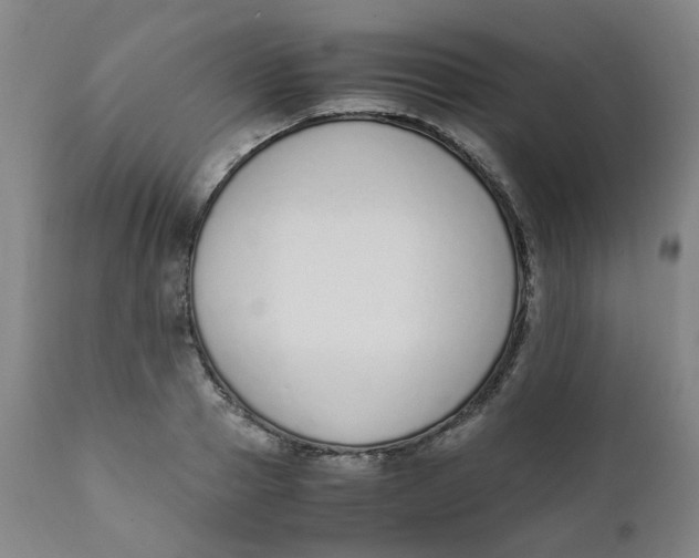X0000111780937200908131345