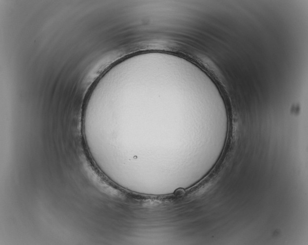 X0000111780938200908131345